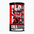 Fitness Authority Bad Ass Crea 300 g esotici