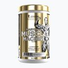 Integratore pre-allenamento Fitness Authority Levrone Gold Maryland Muscle Machine 385 g fruit punch