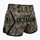 Pantaloncini da allenamento Octagon Legion Kickboxing/Muay Thai Premium frontline