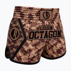 Pantaloncini da allenamento Octagon Legion Kickboxing/Muay Thai Premium desert storm