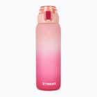 Borraccia TREXO Haust 1000 ml pink