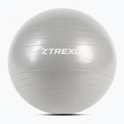 XTREXO Gymball TXO-B4Z007-GY 55 cm grigio