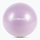 Palla da ginnastica XTREXO TXO-B4Z008-VT 65 cm viola