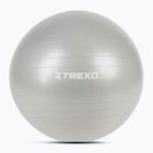 XTREXO Gymball TXO-B4Z009-GY 75 cm grigio