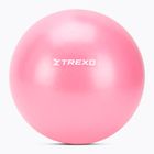 Mini palla da ginnastica TREXO TXO-B4Z010-PK 20 cm rosa