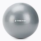 XTREXO mini palla da ginnastica TXO-B4Z010-GY 20 cm grigio