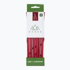 Picchetti per tende KADVA Alupin 6 pz. rosso