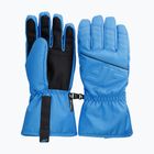 Guanti da sci da uomo 4F FNK M149 blu