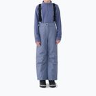 Pantaloni da sci per bambini 4F Fnk F0948 grey