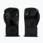 Guantoni da boxe StormCloud Bolt 3.0 black/black