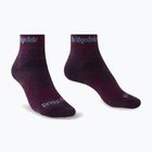Calze da trekking da donna Bridgedale Hike Midweight Performance Ankle dark purple