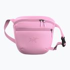 Bustina Arc'teryx Mantis 2 2,5 and pineberry