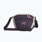 Bustina Arcteryx Mantis 1 1,5 l