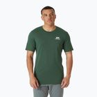 Maglietta Helly Hansen Nord Graphic verde giungla da uomo