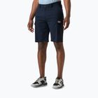 Pantaloncini da vela da uomo Helly Hansen QD Cargo 11" 34537 navy