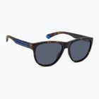 Occhiali da sole Polaroid PLD 2156/S marrone opaco avana/blu polarizzato