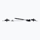 Portabici da tetto Thule ProRide argento 591018