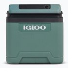 Frigorifero Igloo IE24 ACDC 24 and spruce