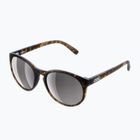 Occhiali da sole POC Know tortoise brown/clarity road/sunny silver