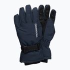 Guanti da sci per bambini Didriksons Biggles navy