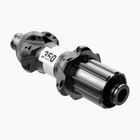 DT Swiss 35P 142/12 ROCL ASL11 R24 BM ASM W mozzo posteriore nero