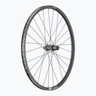 DT Swiss HU 1900 SP 29 CL 25 5/135 SS ruota posteriore bicicletta nero
