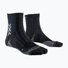 Calzini X-Socks Hike Perform Natural Ankle anthracite/turquoise