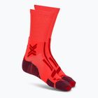 Calze da uomo X-Socks Trailrun Perform Crew fluo red/namib red