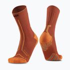 Calzini X-Socks Trailrun Terraskin Expert Crew burnt red/orange