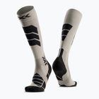 Calze da sci X-Socks Ski Expert Otc tea grey/black