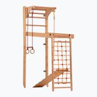 RINAGYM Scala da ginnastica Transformer