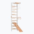 Scala ginnica RINAGYM SPR B+SLIDE