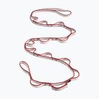 Fettuccia da arrampicata Black Diamond Dynex Daisy 12 mm red