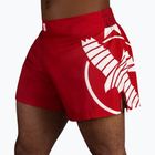 Pantaloncini da allenamento Hayabusa Icon da uomo Kickboxing rosso