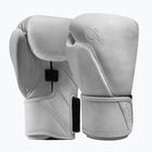 Guantoni da boxe Hayabusa T360 Leather white