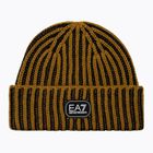 Cappello invernale EA7 Emporio Armani Training Cross Consumer Soft tapenede/black