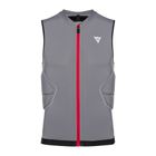 Gilet da uomo Dainese Flexagon 2 gilet protettivo in filigrana d'argento/castello di roccia