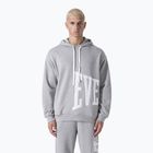 Felpa da uomo Everlast Exclusive Hoodie Logo grigio/melange