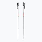 Bastoni da trekking Fizan Explorer beige/red