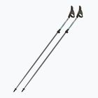 Bastoncini da Nordic walking Fizan Carbon Pro Impulse grey