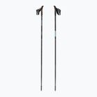 Bastoncini da Nordic walking Fizan Lite Tech light blue