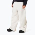 Pantaloni snowboard uomo Oakley Channel Cargo mist