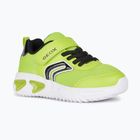 Geox Assister junior scarpe lime/nero