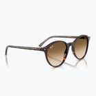 Occhiali da sole Ray-Ban Bernard havana/brown gradient