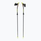 Bastoncini da nordic walking Fizan Carbon Pro Impulse 2023 grigio