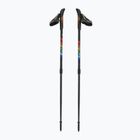 Bastoncini da nordic walking per bambini Fizan Speed JR rainbow