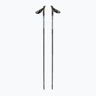 Bastoncini da nordic walking Fizan Lite 4 grigio