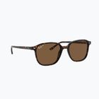 Occhiali da sole Ray-Ban Leonard tortoise/brown polarized