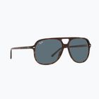 Occhiali da sole Ray-Ban Bill havana/blue