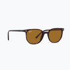 Occhiali da sole Ray-Ban Elliot havana brown/black polarized